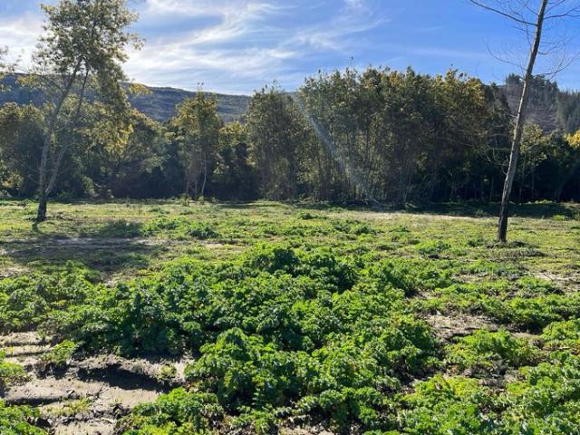 Constitución, Piedra del Lobo