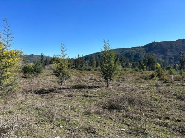 Constitución, Piedra del Lobo