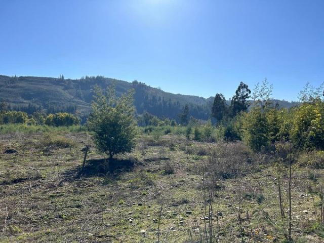 Constitución, Piedra del Lobo