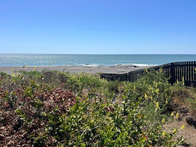 Constitución, Playa Papirua