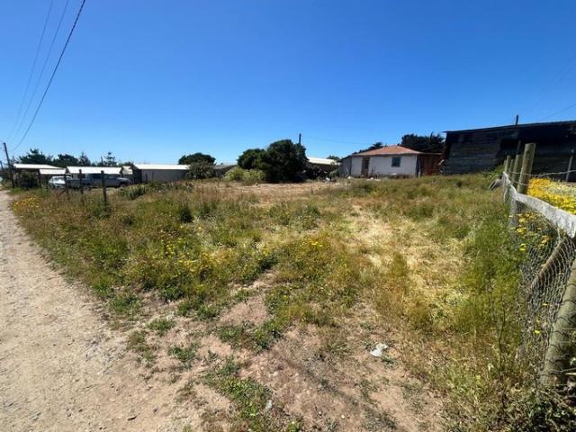 Constitución, Playa Papirua