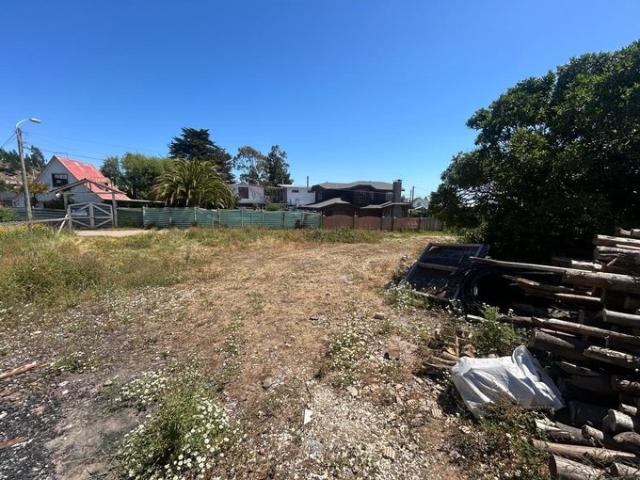 Constitución, Playa Papirua