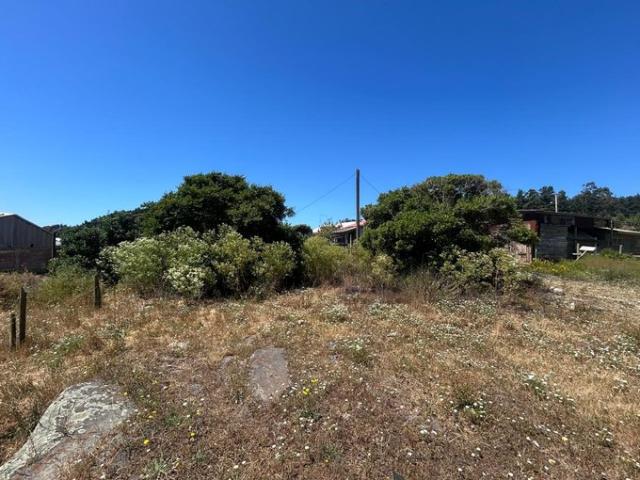 Constitución, Playa Papirua