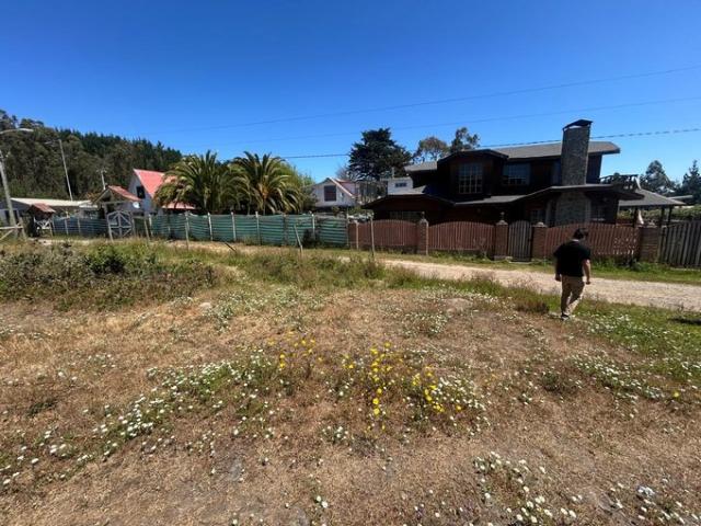 Constitución, Playa Papirua