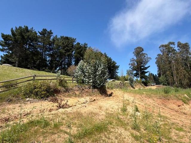 Constitución, Quivolgo