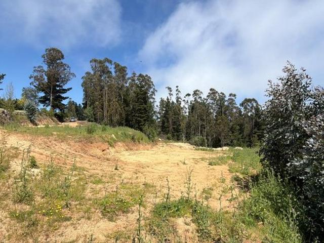 Constitución, Quivolgo