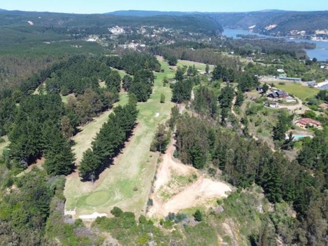 Constitución, Quivolgo