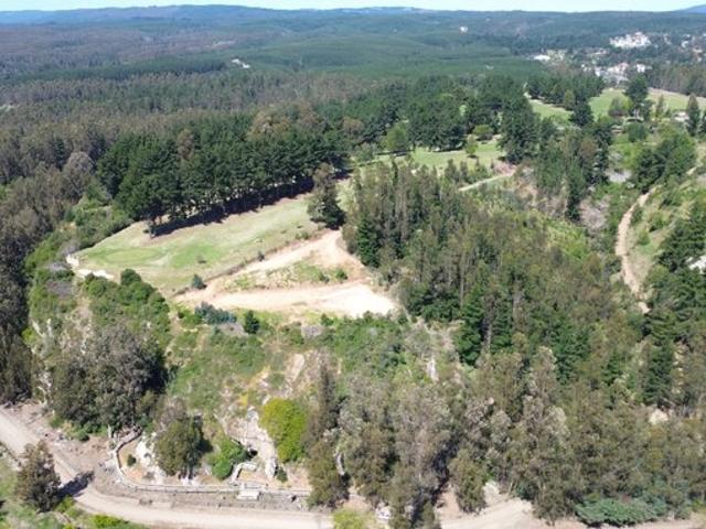 Constitución, Quivolgo