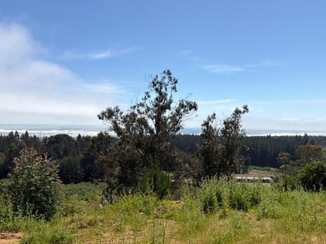 Constitución, Quivolgo