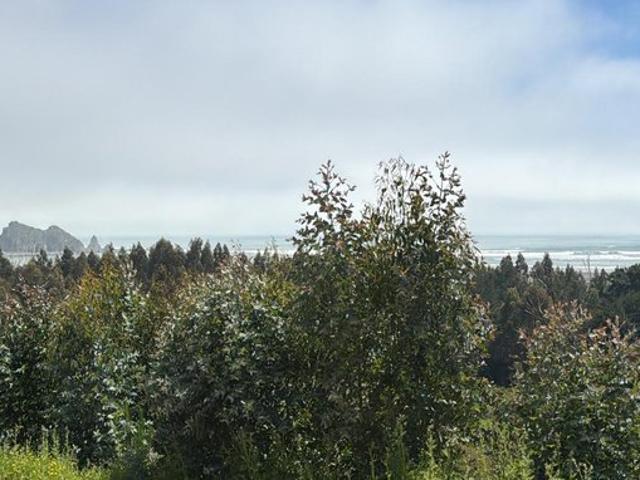 Constitución, Quivolgo