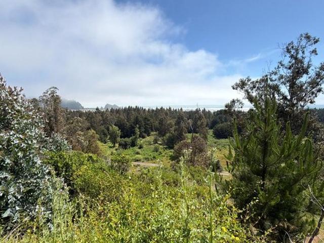 Constitución, Quivolgo