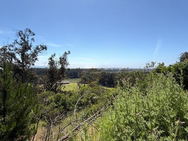 Constitución, Quivolgo