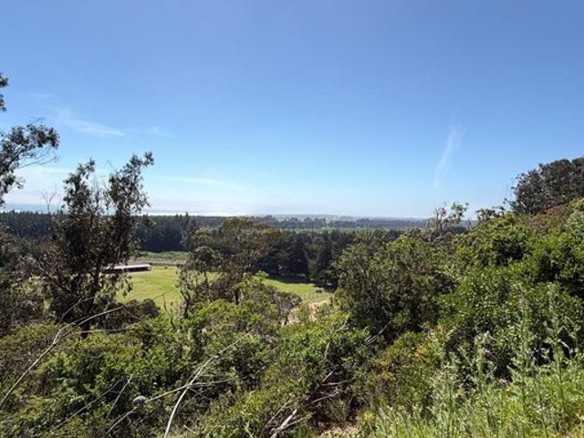 Constitución, Quivolgo