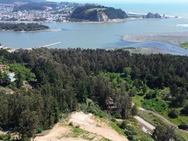 Constitución, Quivolgo