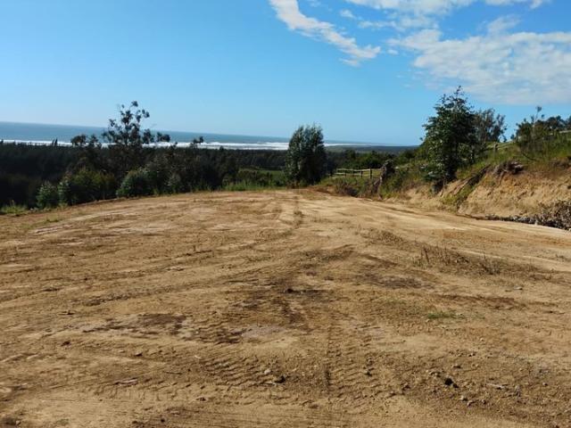 Constitución, Quivolgo