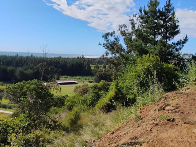 Constitución, Quivolgo