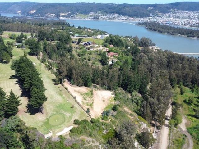 Constitución, Quivolgo