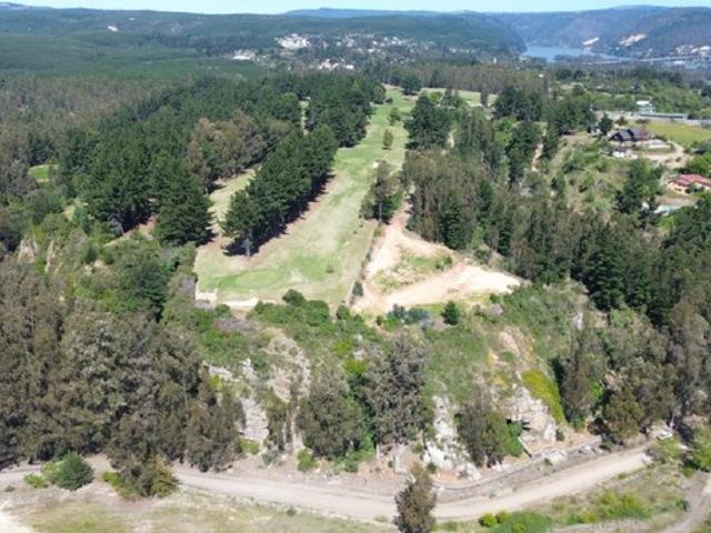 Constitución, Quivolgo