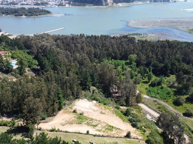 Constitución, Quivolgo