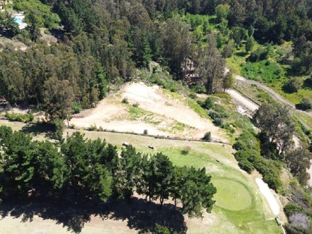 Constitución, Quivolgo