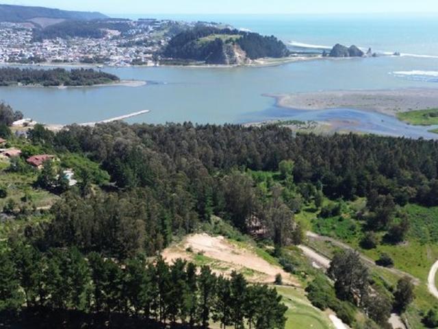 Constitución, Quivolgo