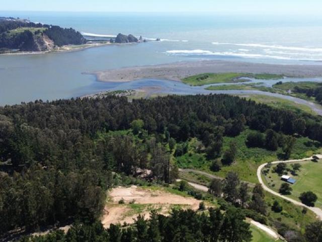 Constitución, Quivolgo