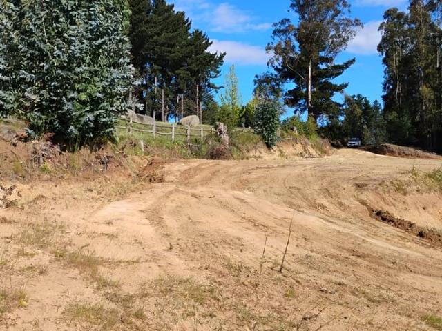 Constitución, Quivolgo