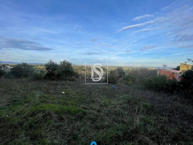 Terreno venda em Santarém