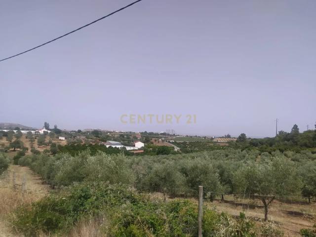 Terreno venda em Elvas, Portalegre