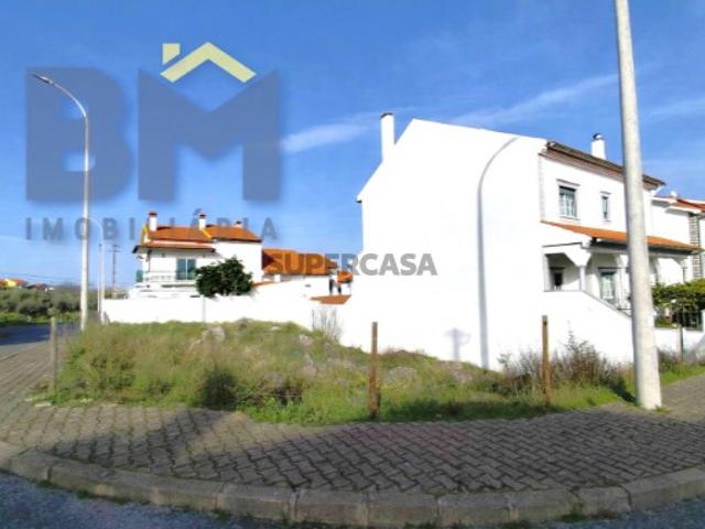Terreno venda em Castelo Branco