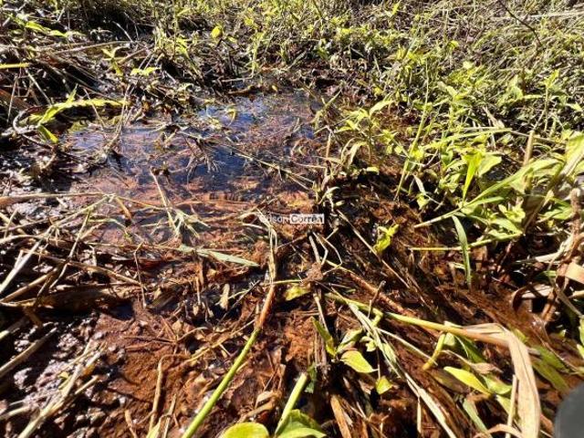 Terreno venda em Região Geográfica Imediata de Novo Hamburgo - São Leopoldo, Região Metropolitana de Porto Alegre