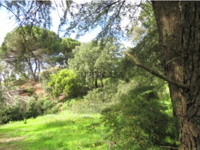 Terreno venda em Portal Branco, Palmela