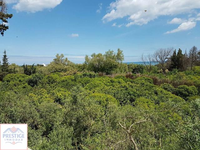 Terrain vente à Bizerte, Bizerte Nord