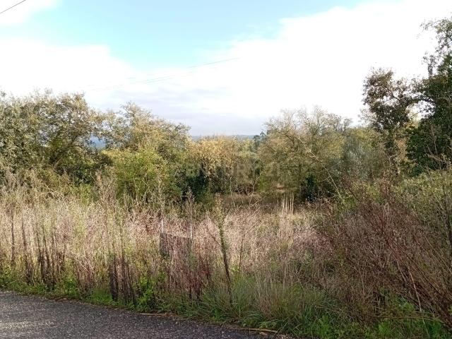 Terreno venda em Leiria