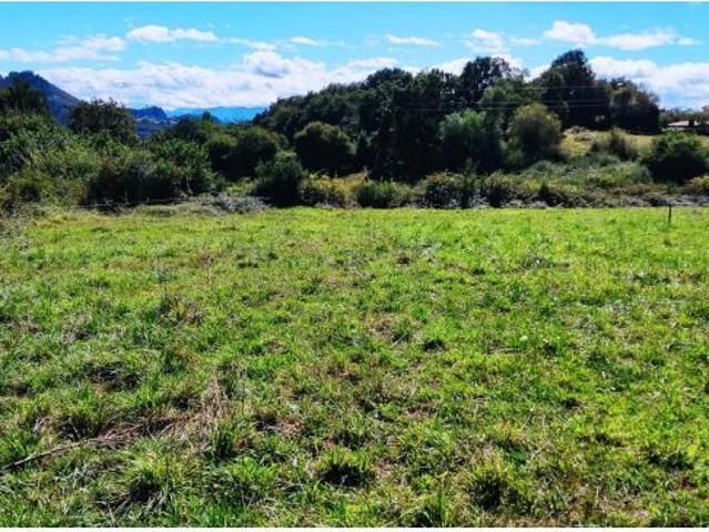 Local Comercial en venta en Siero, Asturias