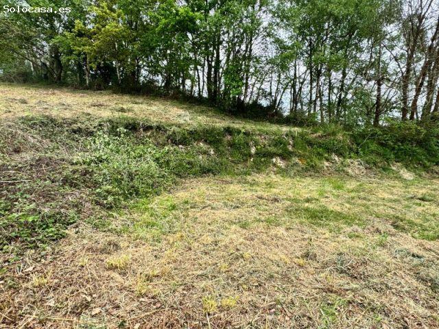 Local Comercial en venta en Pumarabule, Siero