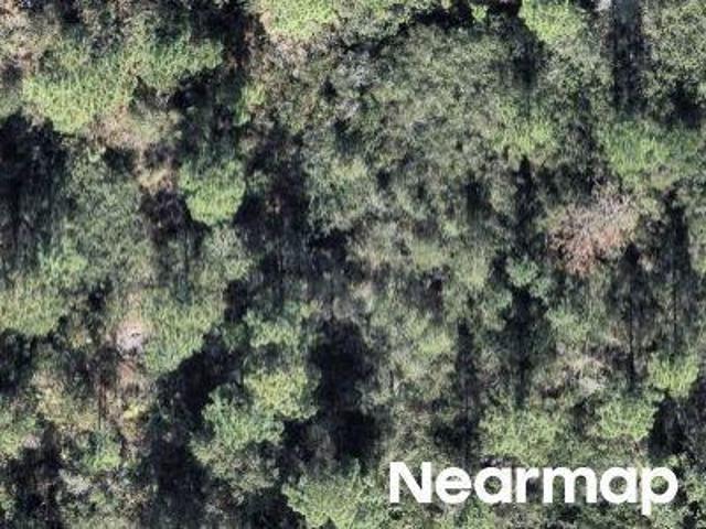 Property for sale in Sebring, Florida