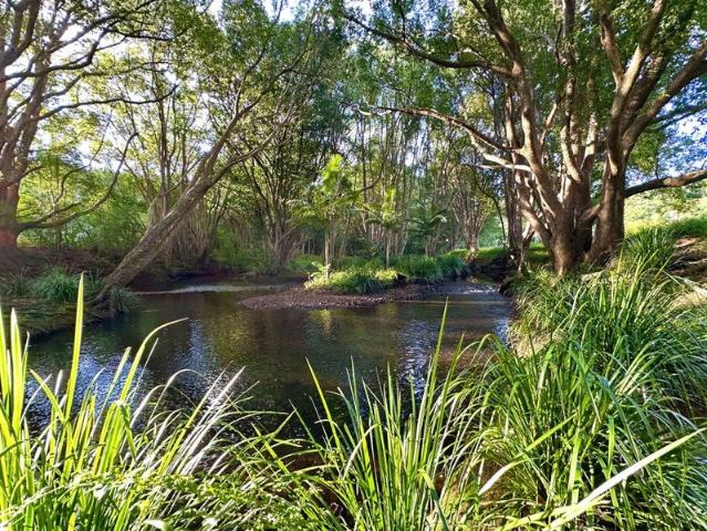 Cottage for sale in Brooklet, Ballina Shire Council