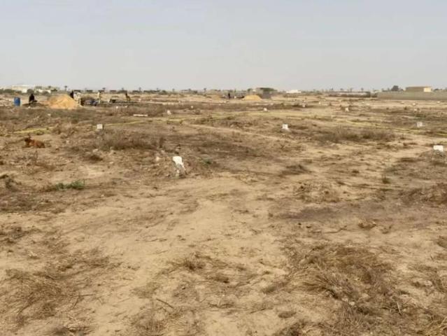 Land for sale in North Waziristan, Federally Administered Tribal Areas fata