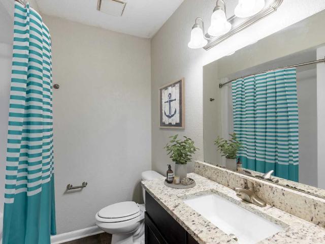 Apartment for rent in Dunedin, Florida