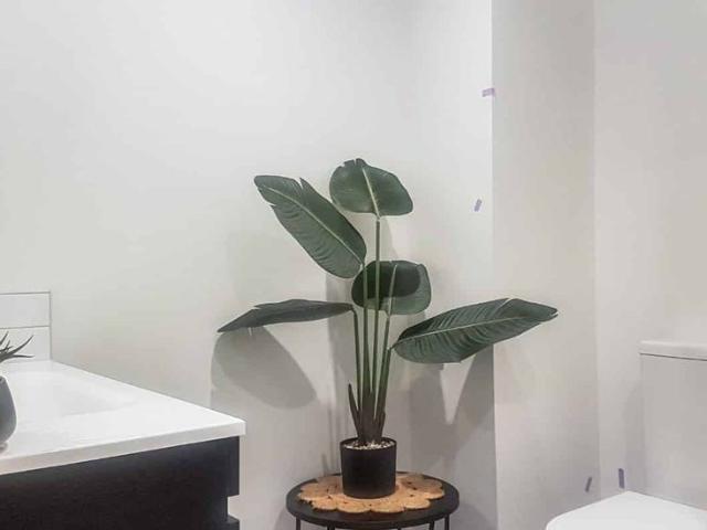 Apartment for rent in Wairau Valley