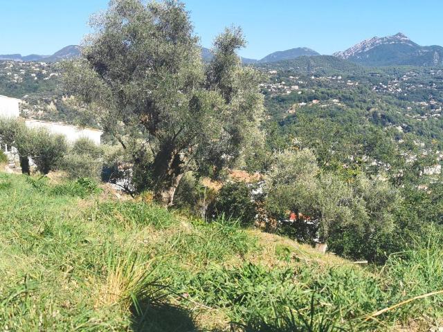 Terrain vente à Nice, Contes