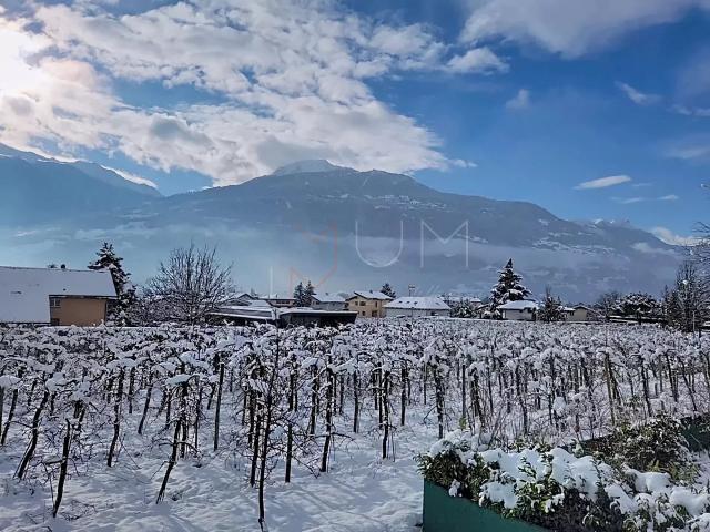 Immobilie kaufen in Conthey, Wallis