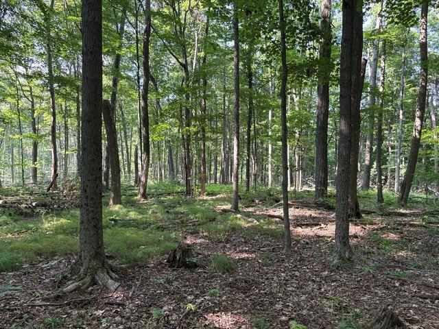 Land for sale in Clearfield, Pennsylvania