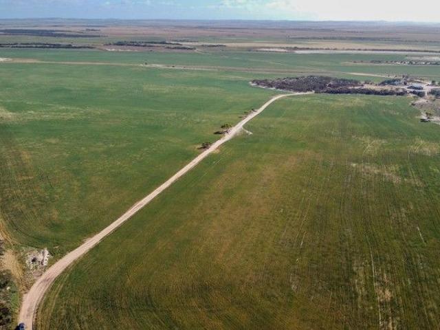 Land for sale in Cleve, South Australia