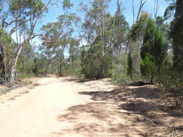 Land for sale in Warialda, New South Wales