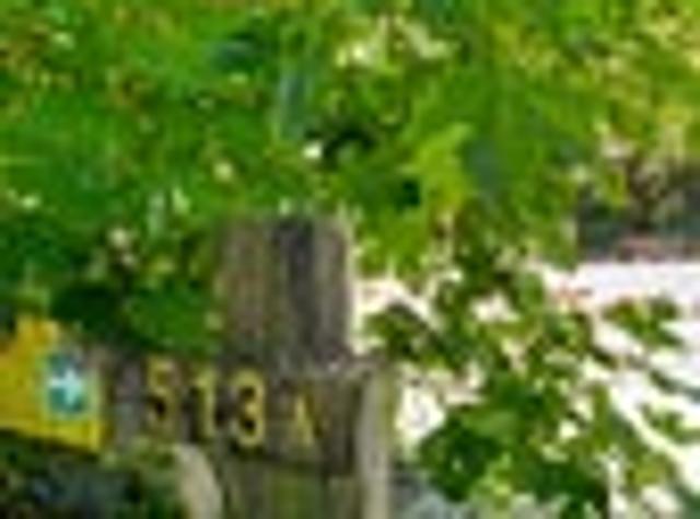 House for sale in Bay Of Plenty