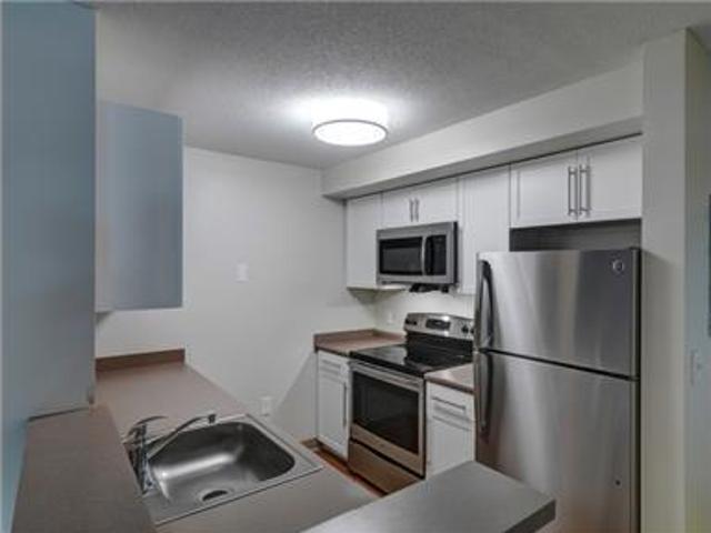 House for rent in Storrs, Mansfield