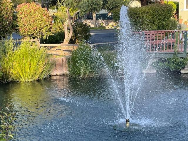Room for rent in Scotts Valley, California