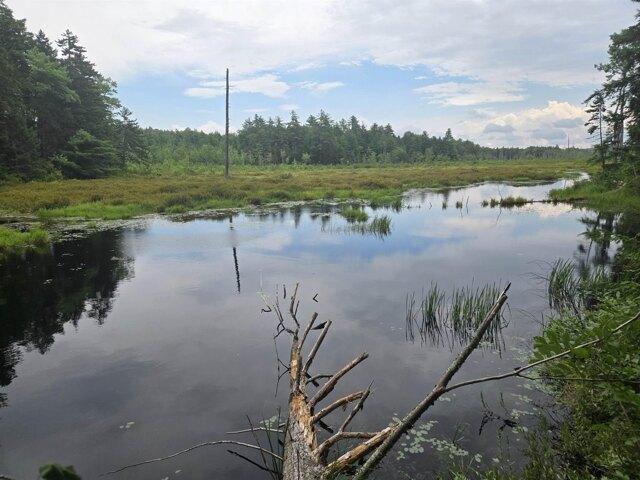 Land for sale in New Hampshire